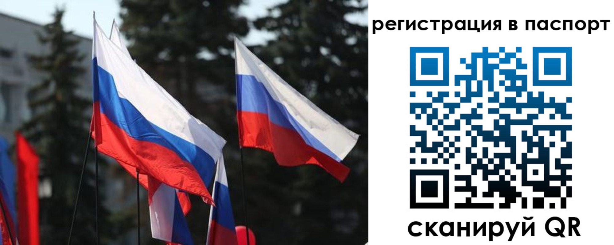 прописка штамп в Коми